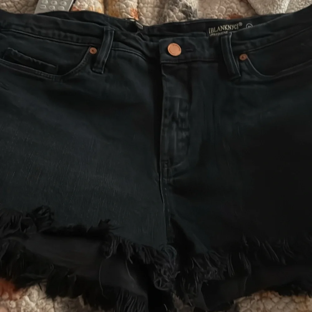 NWT Blanknyc Little Queenie Shorts - Picture 3 of 4